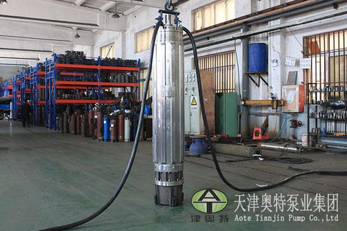 不銹鋼潛水電機(jī)現(xiàn)貨 五金機(jī)電領(lǐng)域的可靠選擇